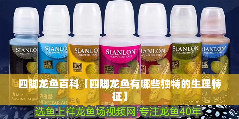 四腳龍魚(yú)百科【四腳龍魚(yú)有哪些獨(dú)特的生理特征】