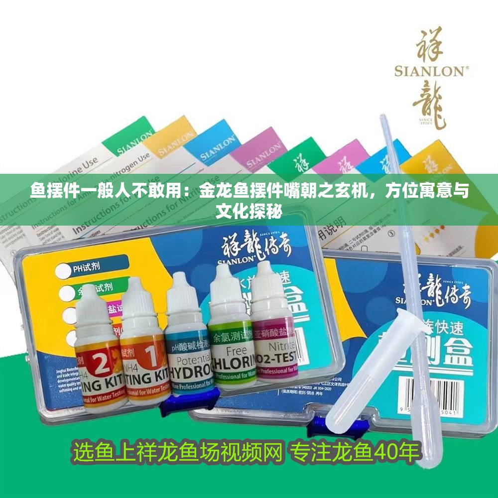 魚擺件一般人不敢用：金龍魚擺件嘴朝之玄機，方位寓意與文化探秘