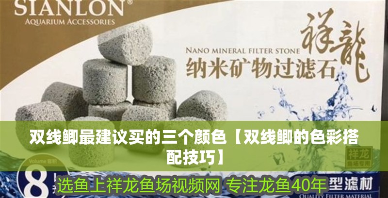 雙線鯽最建議買的三個顏色【雙線鯽的色彩搭配技巧】