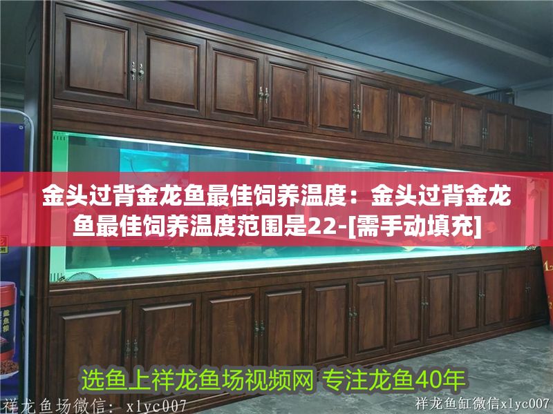 金頭過背金龍魚最佳飼養溫度：金頭過背金龍魚最佳飼養溫度范圍是22-[需手動填充]