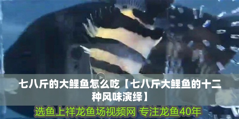 七八斤的大鯉魚怎么吃【七八斤大鯉魚的十二種風味演繹】