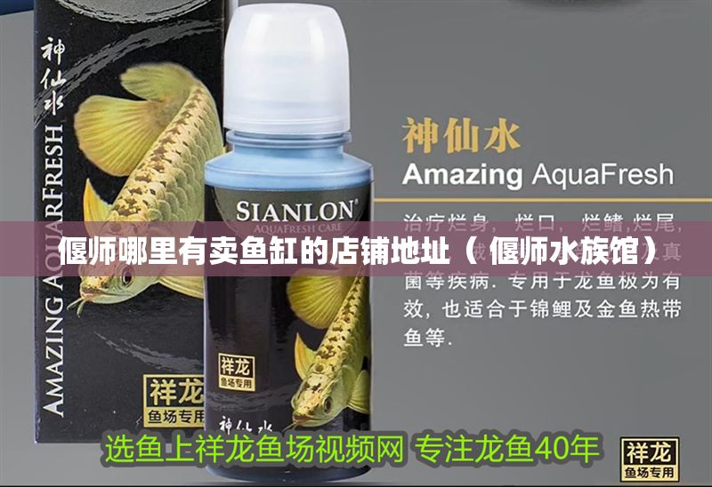偃師哪里有賣魚缸的店鋪地址（ 偃師水族館）