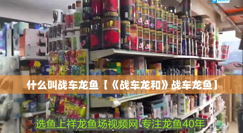什么叫戰車龍魚【《戰車龍和》戰車龍魚】