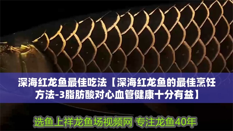 深海紅龍魚最佳吃法【深海紅龍魚的最佳烹飪方法-3脂肪酸對心血管健康十分有益】