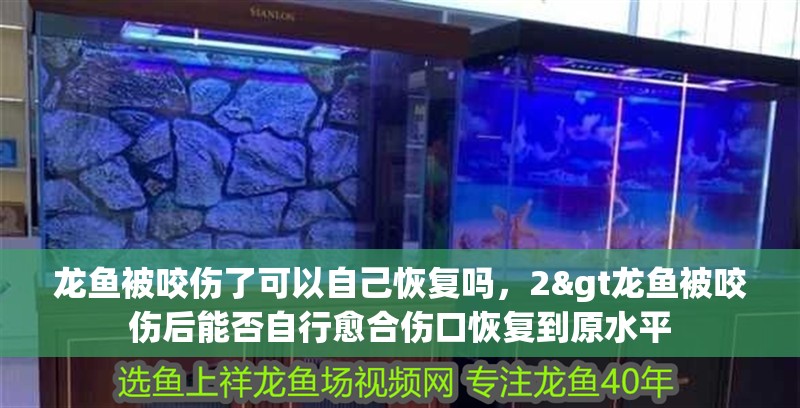 龍魚被咬傷了可以自己恢復嗎，2&gt龍魚被咬傷后能否自行愈合傷口恢復到原水平