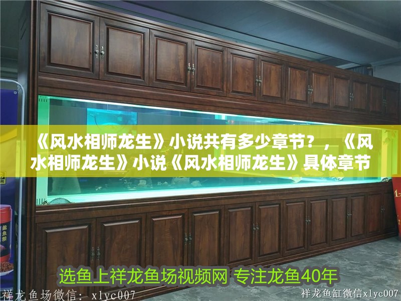 《風水相師龍生》小說共有多少章節？，《風水相師龍生》小說《風水相師龍生》具體章節數量信息