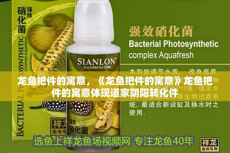 龍魚把件的寓意，《龍魚把件的寓意》龍魚把件的寓意體現道家陰陽轉化件