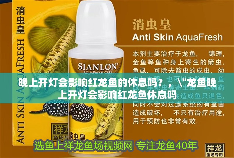 晚上開燈會影響紅龍魚的休息嗎？，\