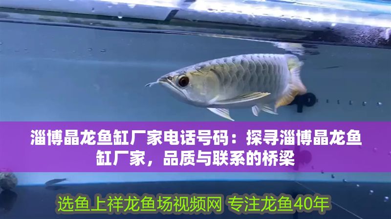 <strong><mark>淄博</mark></strong>晶龍魚缸廠家電話號碼：探尋<strong><mark>淄博</mark></strong>晶龍魚缸廠家，品質與聯系的橋梁