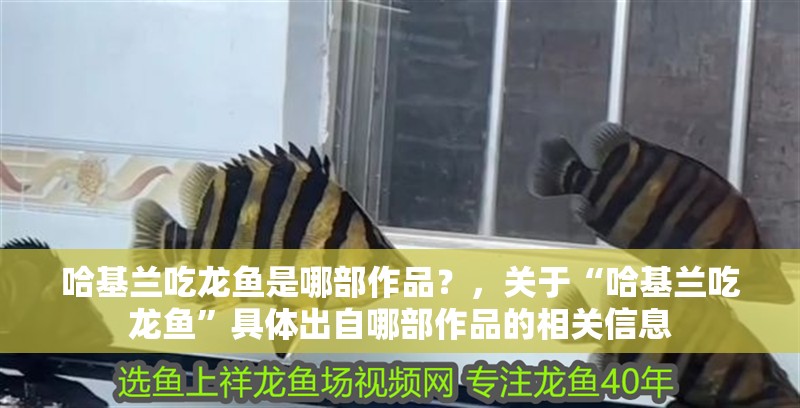 哈基蘭吃龍魚是哪部作品？，關于“哈基蘭吃龍魚”具體出自哪部作品的相關信息