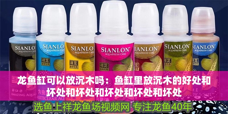 龍魚缸可以放沉木嗎：魚缸里放沉木的好處和壞處和壞處和壞處和壞處和壞處