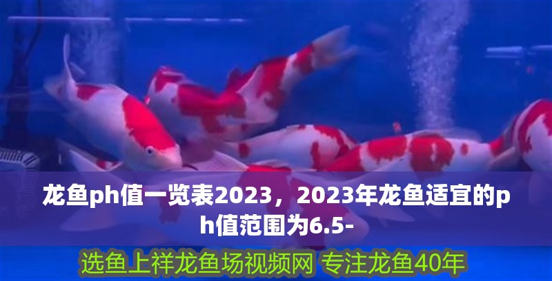 龍魚ph值一覽表2023，2023年龍魚適宜的ph值范圍為6.5-