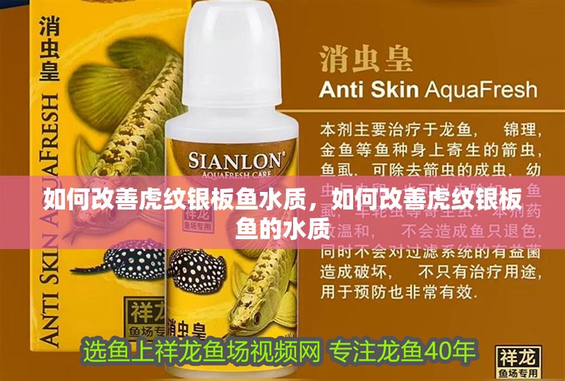 如何改善虎紋銀板魚水質(zhì)，如何改善虎紋銀板魚的水質(zhì)