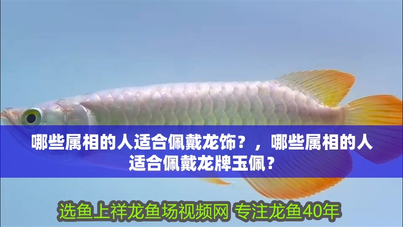 哪些屬相的人適合佩戴龍飾？，哪些屬相的人適合佩戴龍牌玉佩？