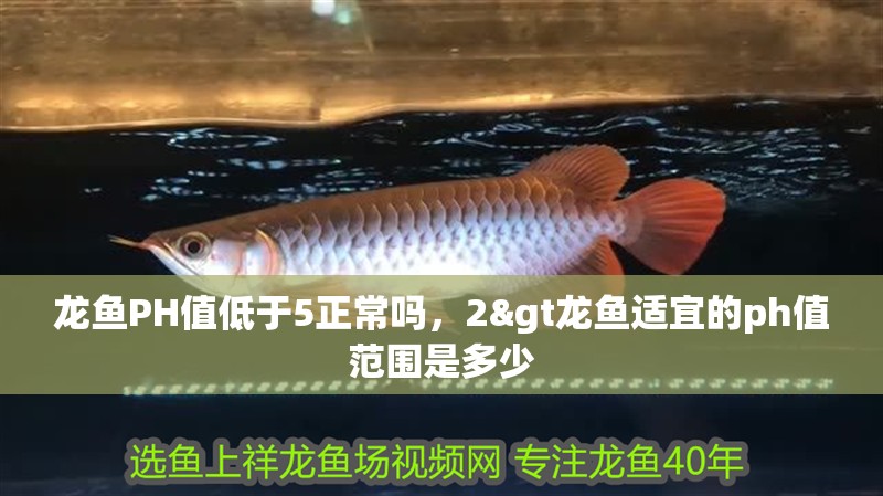 龍魚PH值低于5正常嗎，2&gt龍魚適宜的ph值范圍是多少