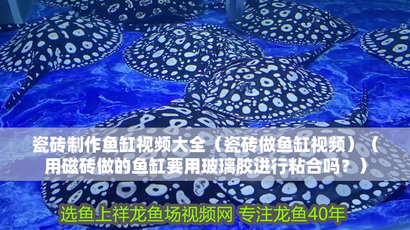 瓷磚制作魚缸視頻大全（瓷磚做魚缸視頻）（用磁磚做的魚缸要用玻璃膠進行粘合嗎？）