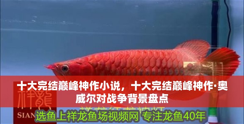 十大完結巔峰神作小說，十大完結巔峰神作·奧威爾對戰(zhàn)爭背景盤點