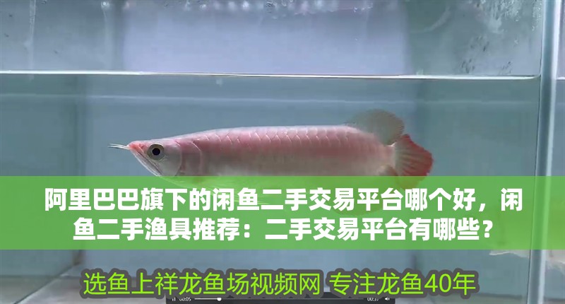 阿里巴巴旗下的閑魚(yú)二手交易平臺(tái)哪個(gè)好，閑魚(yú)二手漁具推薦：二手交易平臺(tái)有哪些？