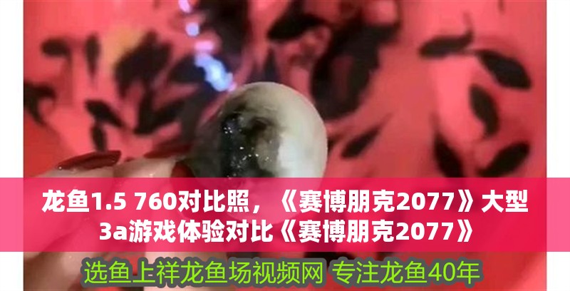 龍魚1.5 760對比照，《賽博朋克2077》大型3a游戲體驗對比《賽博朋克2077》