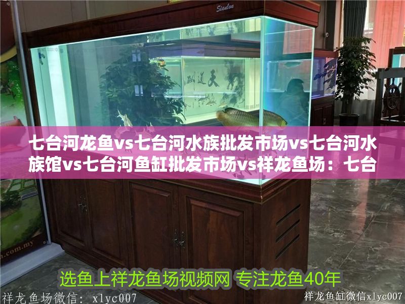 七臺河龍魚vs七臺河水族批發市場vs七臺河水族館vs七臺河魚缸批發市場vs祥龍魚場：七臺河龍魚、七臺河水族批發市場、七臺河魚缸批發市場對比分析