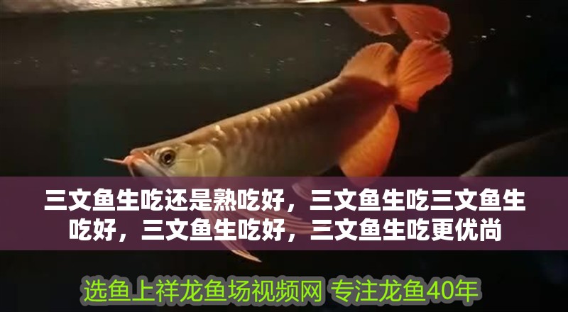 三文魚生吃還是熟吃好，三文魚生吃三文魚生吃好，三文魚生吃好，三文魚生吃更優尚