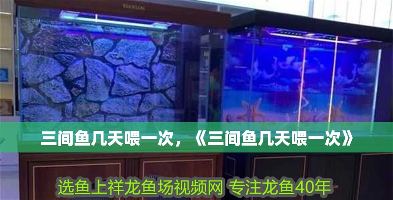三間魚幾天喂一次，《三間魚幾天喂一次》
