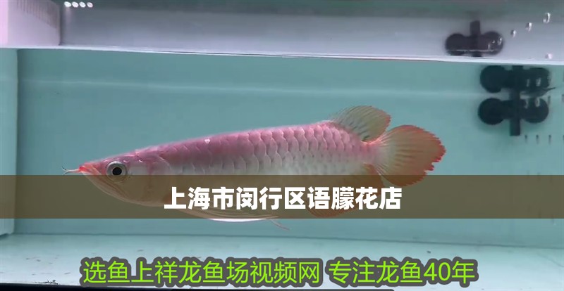 上海市閔行區語朦花店