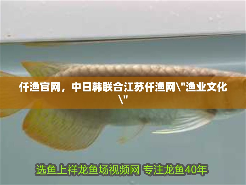 仟漁官網，中日韓聯合江蘇仟漁網\