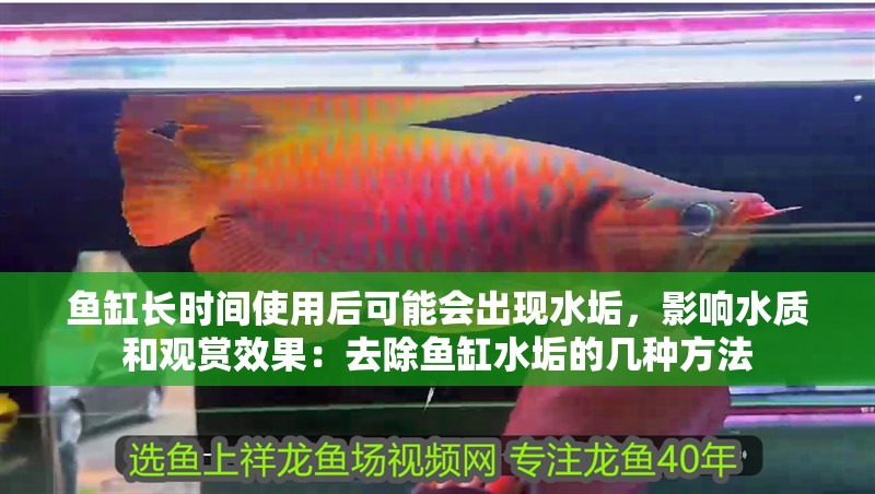 魚缸長時間使用后可能會出現水垢，影響水質和觀賞效果：去除魚缸水垢的幾種方法