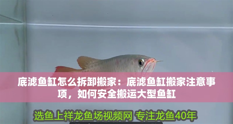 底濾魚缸怎么拆卸搬家：底濾魚缸搬家注意事項，如何安全搬運大型魚缸
