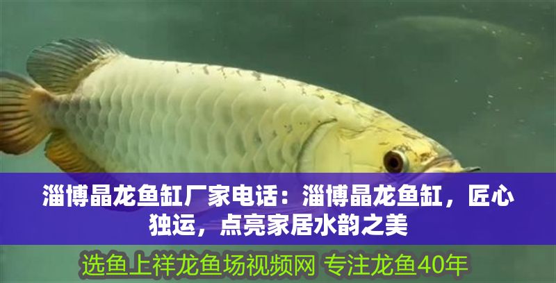 淄博晶龍魚缸廠家電話：淄博晶龍魚缸，匠心獨運，點亮家居水韻之美