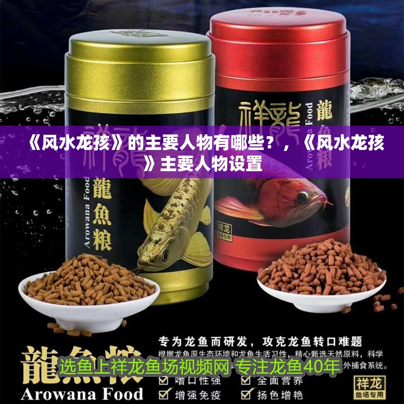 《風水龍孩》的主要人物有哪些？，《風水龍孩》主要人物設置