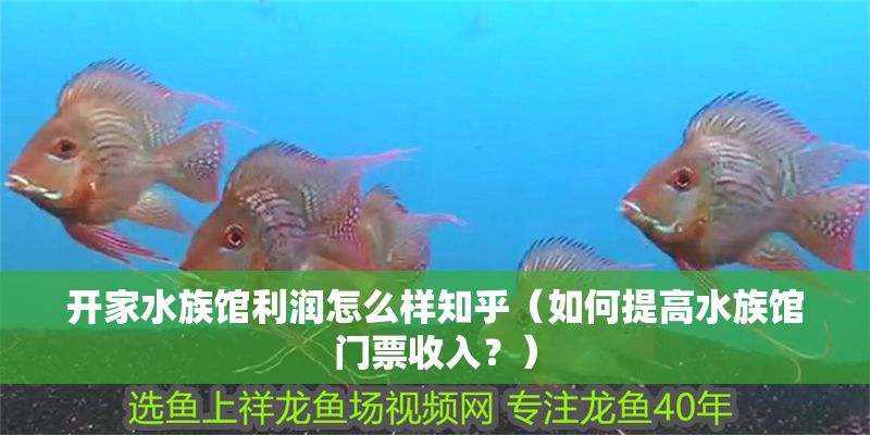 開家水族館利潤怎么樣知乎（如何提高水族館門票收入？） 開家水族館利潤怎么樣知乎（如何提高水族館門票收入？） 水族館百科（水族館加盟） 第1張