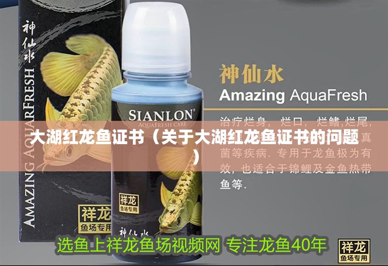 大湖紅龍魚(yú)證書(shū)（關(guān)于大湖紅龍魚(yú)證書(shū)的問(wèn)題）