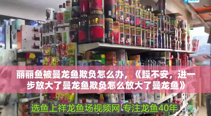 麗麗魚被曼龍魚欺負怎么辦，《躁不安，進一步放大了曼龍魚欺負怎么放大了曼龍魚》