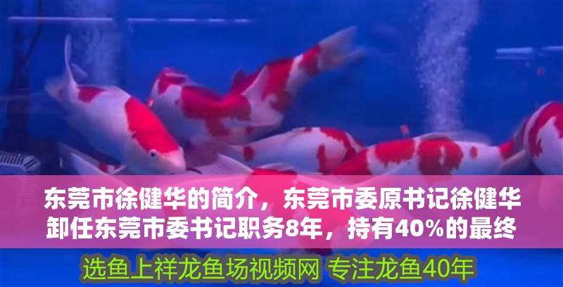 東莞市徐健華的簡介，東莞市委原書記徐健華卸任東莞市委書記職務8年，持有40%的最終
