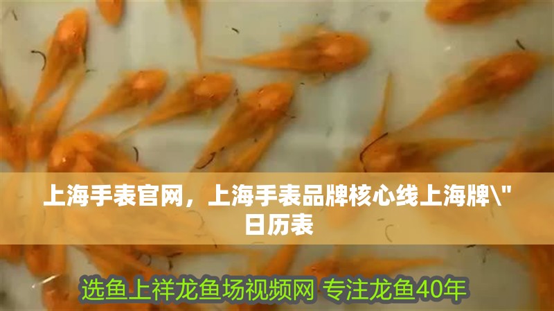 上海手表官網，上海手表品牌核心線上海牌\