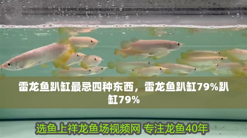 雷龍魚趴缸最忌四種東西，雷龍魚趴缸79%趴缸79%