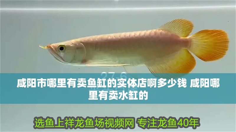 咸陽(yáng)市哪里有賣魚缸的實(shí)體店啊多少錢 咸陽(yáng)哪里有賣水缸的