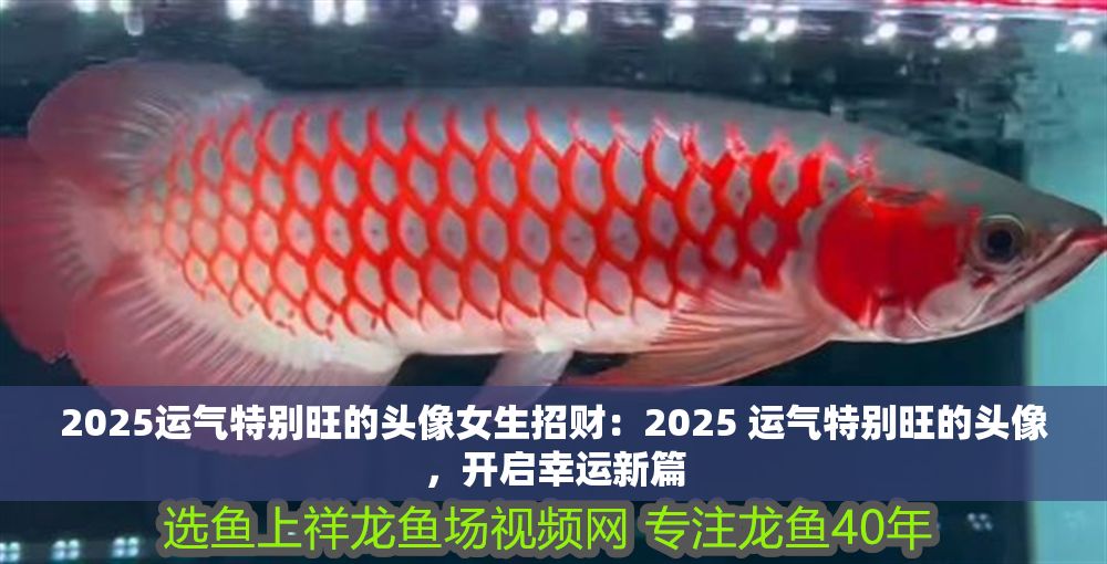 2025運氣特別旺的頭像女生招財：2025 運氣特別旺的頭像，開啟幸運新篇