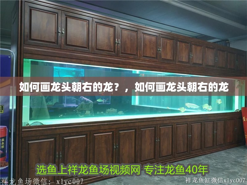 如何畫(huà)龍頭朝右的龍？，如何畫(huà)龍頭朝右的龍 如何畫(huà)龍頭朝右的龍？，如何畫(huà)龍頭朝右的龍 龍魚(yú)論壇