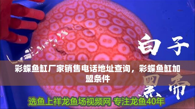 彩蝶魚缸廠家銷售電話地址查詢，彩蝶魚缸加盟條件