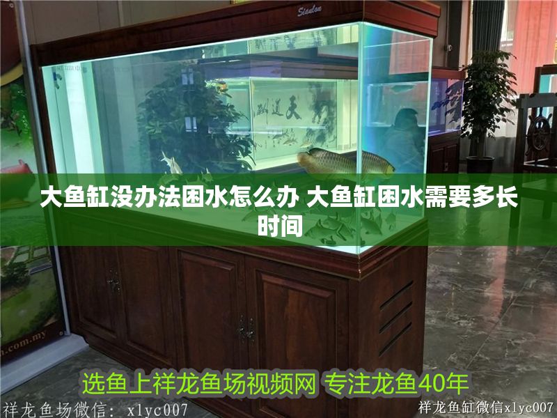 大魚缸沒辦法困水怎么辦 大魚缸困水需要多長時間