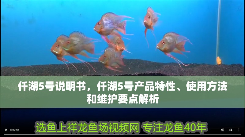 仟湖5號說明書，仟湖5號產(chǎn)品特性、使用方法和維護(hù)要點解析