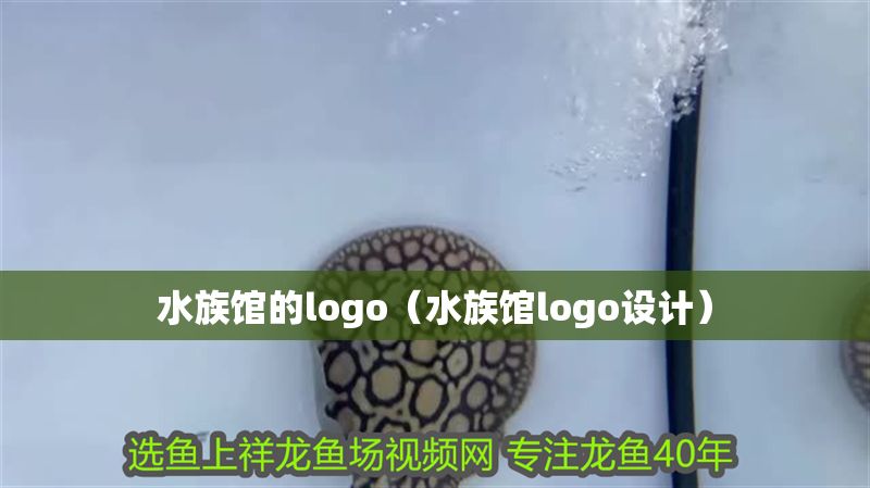 水族館的logo(水族館logo設計) 水族館百科(水族館加盟) 第1張 水族館的logo(水族館logo設計) 水族館的logo(水族館logo設計) 水族館百科(水族館加盟) 第1張