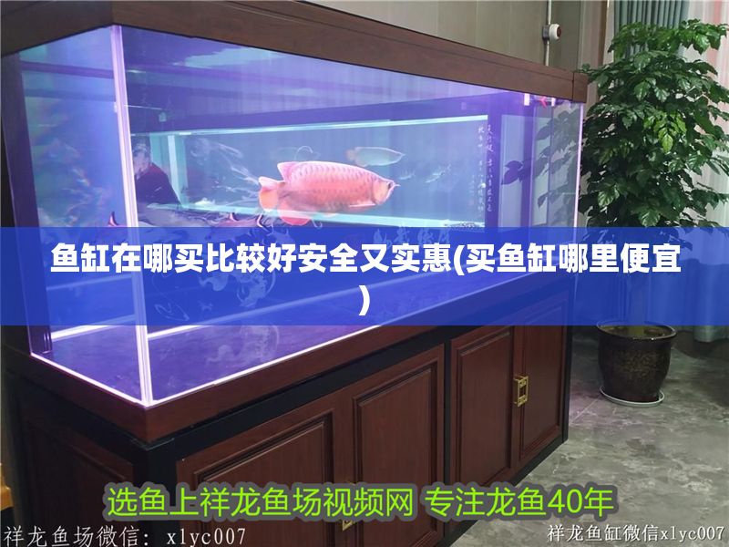 魚缸在哪買比較好安全又實惠(買魚缸哪里便宜)