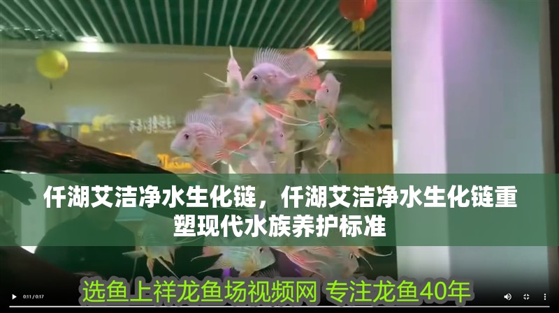 仟湖艾潔凈水生化鏈，仟湖艾潔凈水生化鏈重塑現代水族養護標準