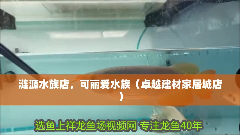 漣源水族店，可麗愛水族（卓越建材家居城店）