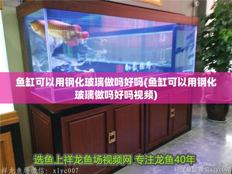 魚缸可以用鋼化玻璃做嗎好嗎(魚缸可以用鋼化玻璃做嗎好嗎視頻)