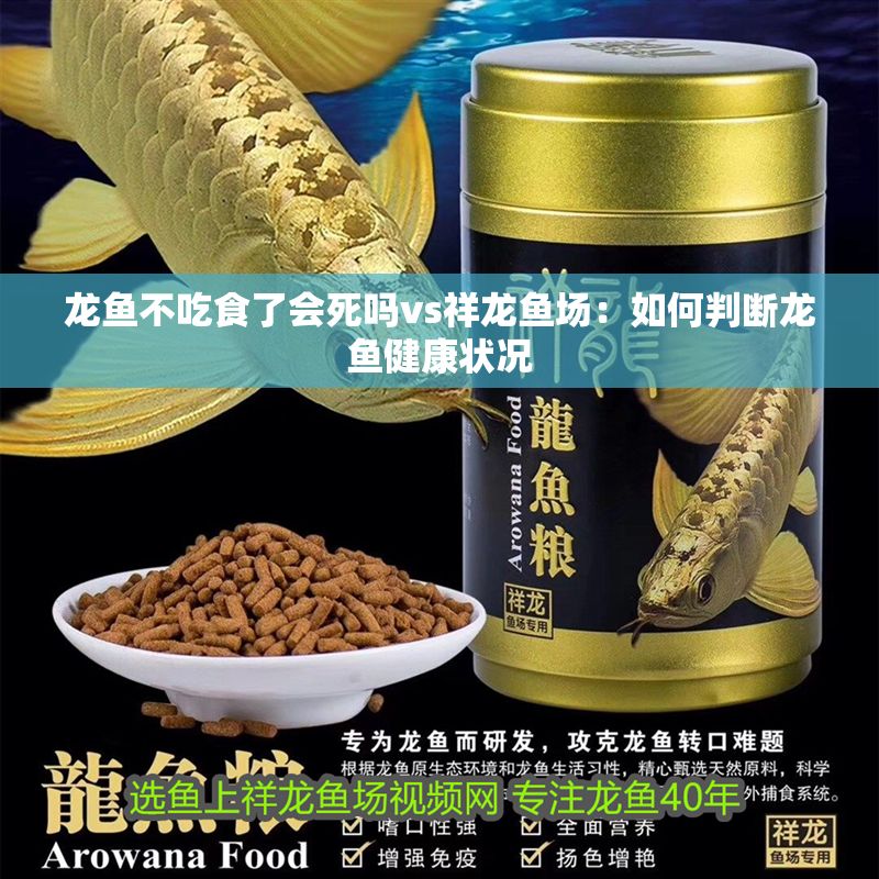 龍魚不吃食了會死嗎vs祥龍魚場：如何判斷龍魚健康狀況
